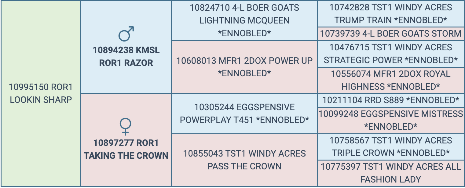 Screenshot 2026-03-18 at 10.21.27 AM