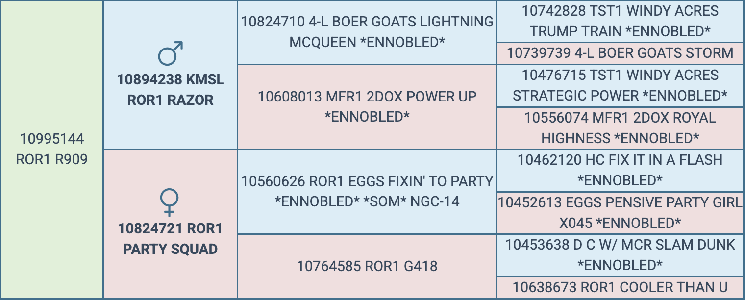 Screenshot 2026-03-18 at 10.23.59 AM