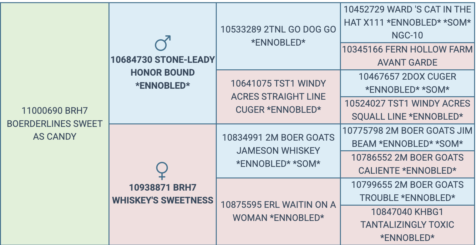 Screenshot 2026-03-18 at 8.28.17 AM