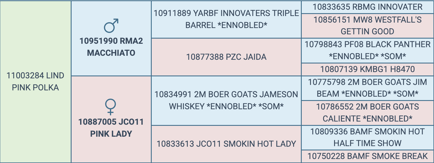 Screenshot 2026-03-18 at 8.31.54 AM