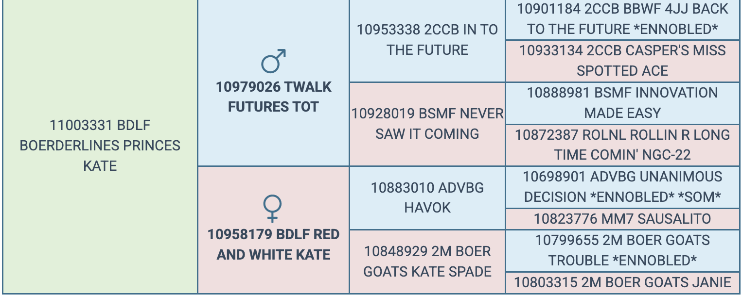 Screenshot 2026-03-18 at 8.35.45 AM