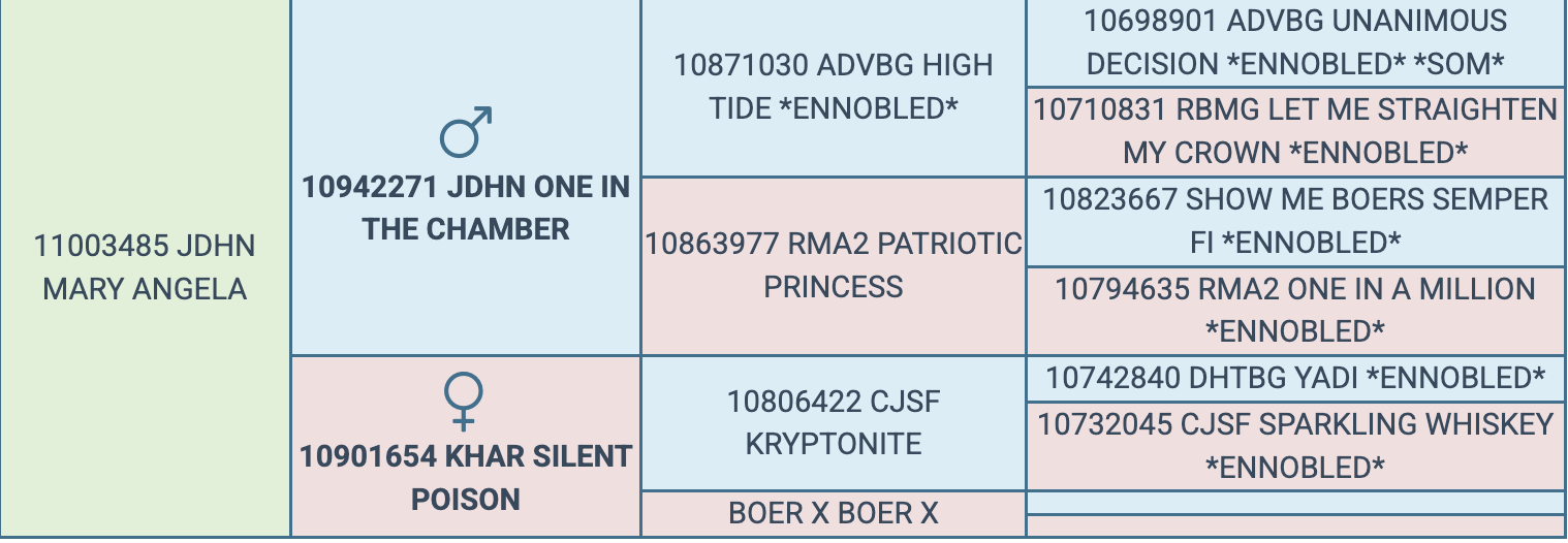 Screenshot 2026-03-18 at 9.01.34 AM