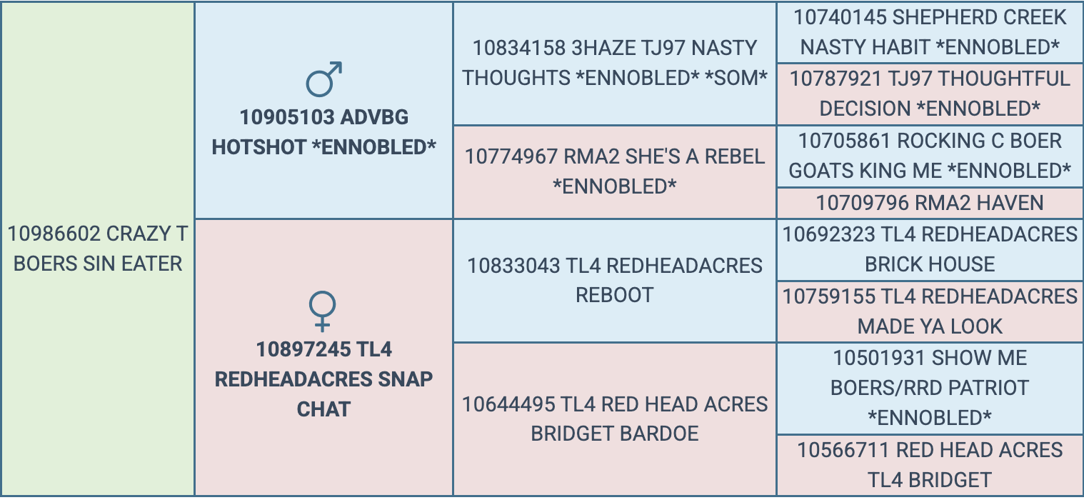 Screenshot 2026-03-18 at 9.25.03 AM