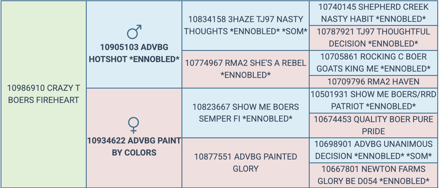 Screenshot 2026-03-18 at 9.28.59 AM