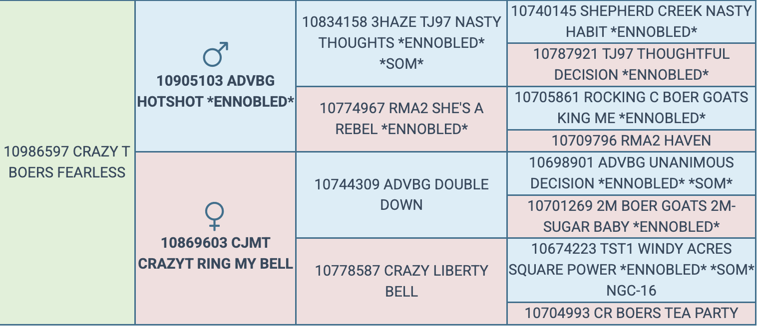 Screenshot 2026-03-18 at 9.33.04 AM