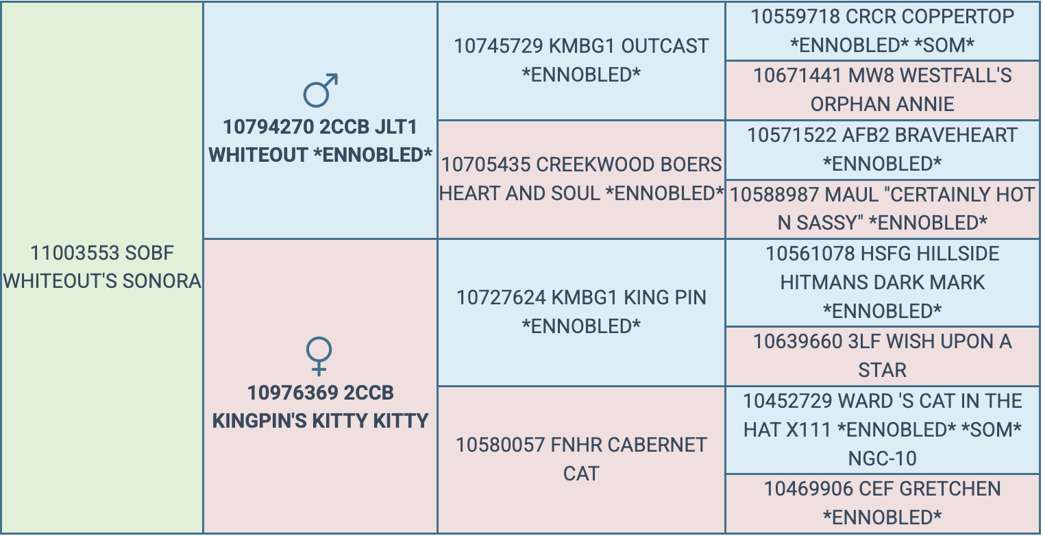 Screenshot 2026-03-18 at 9.37.58 AM