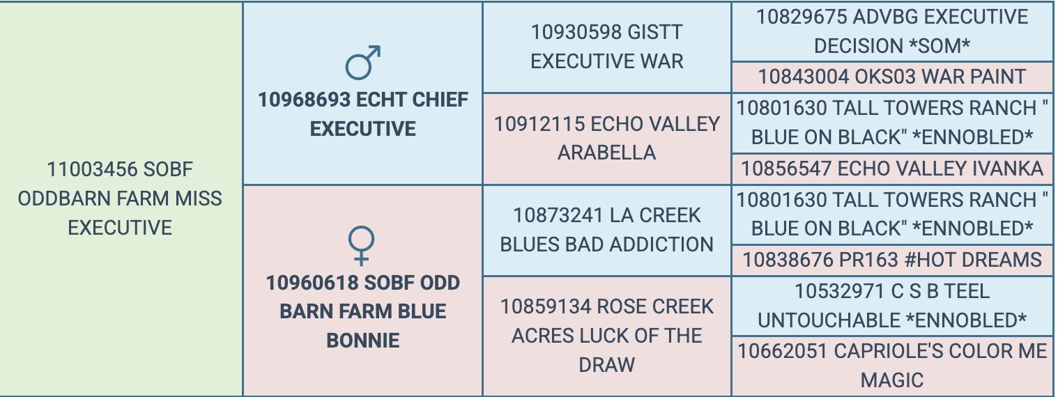 Screenshot 2026-03-18 at 9.43.04 AM