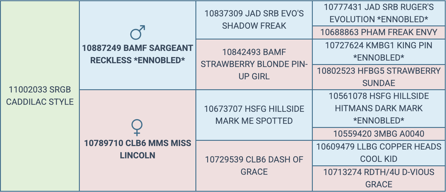 Screenshot 2026-03-18 at 9.48.41 AM