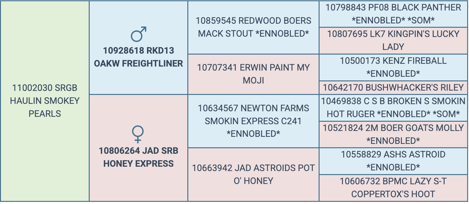 Screenshot 2026-03-18 at 9.52.55 AM