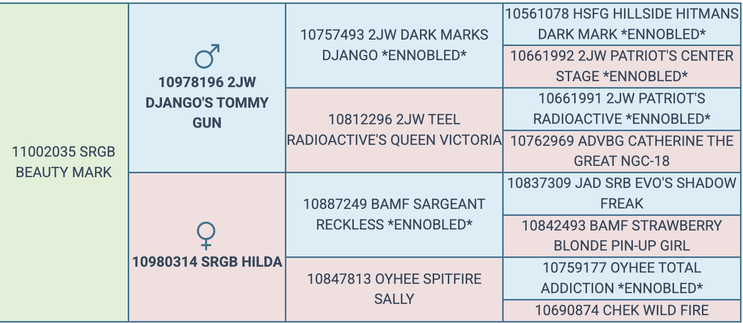 Screenshot 2026-03-18 at 9.54.48 AM