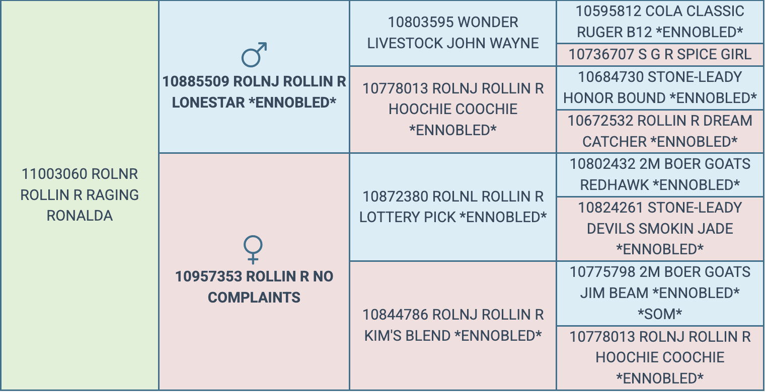 Screenshot 2026-03-19 at 11.02.24 AM