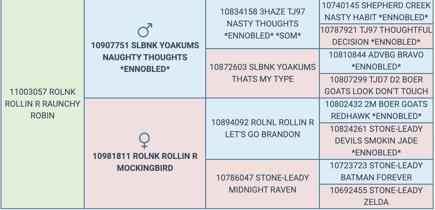 Screenshot 2026-03-19 at 11.04.44 AM