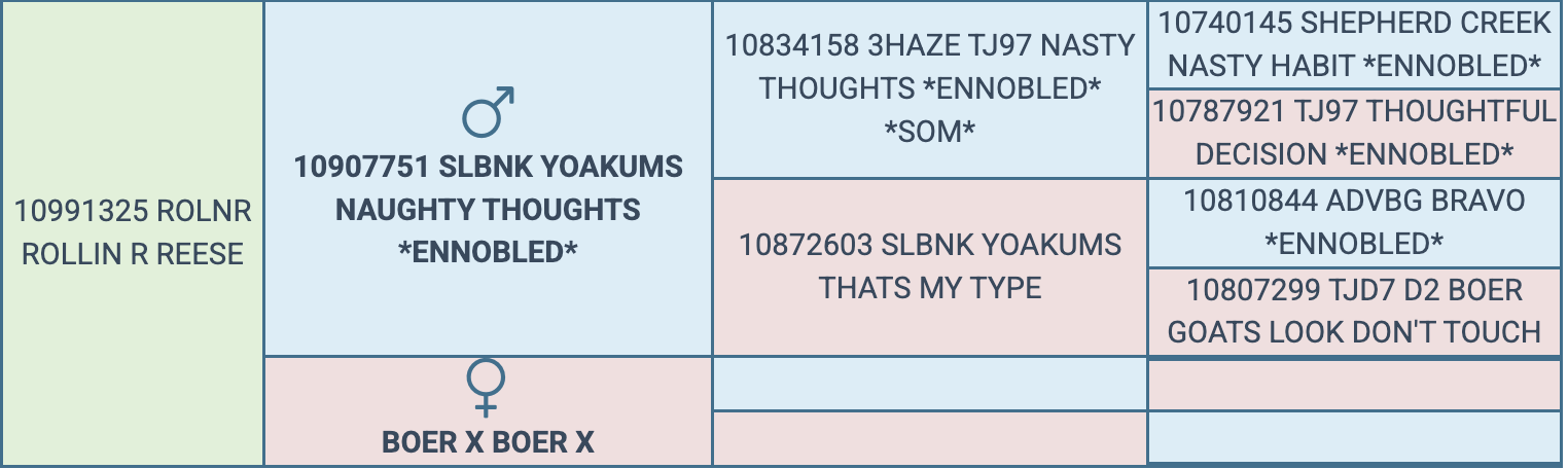 Screenshot 2026-03-19 at 11.08.05 AM