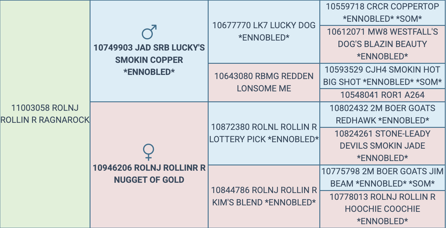 Screenshot 2026-03-19 at 11.10.55 AM