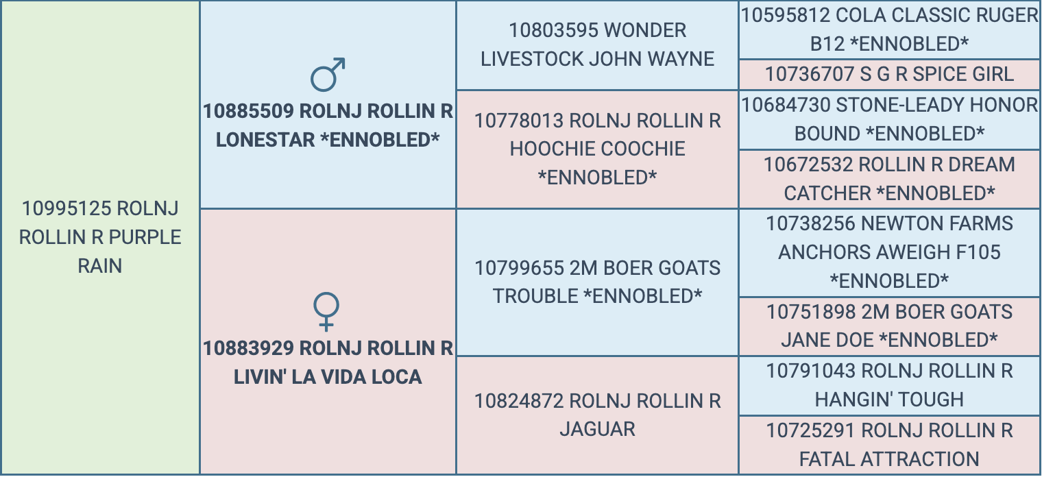 Screenshot 2026-03-19 at 11.14.04 AM