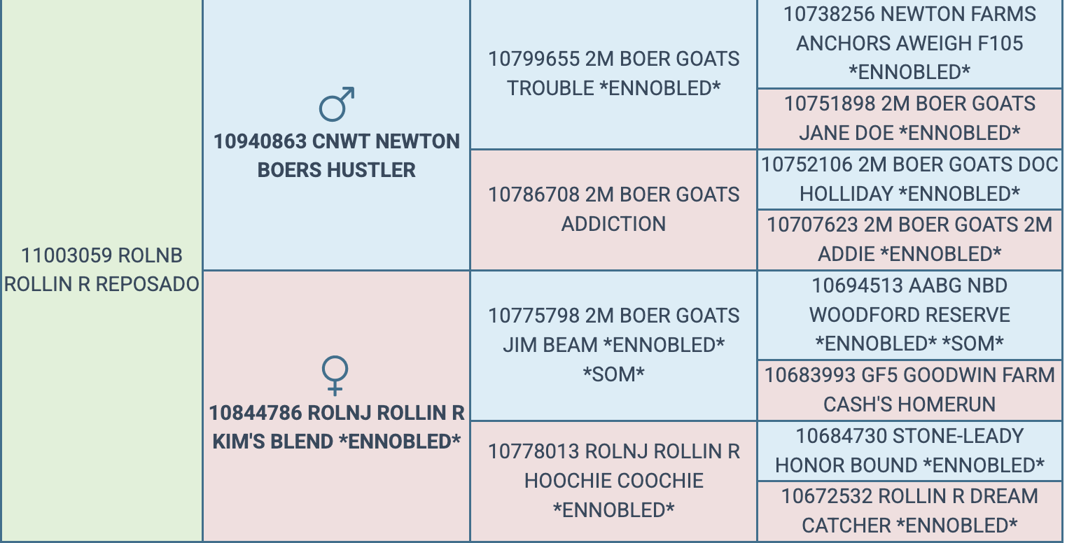 Screenshot 2026-03-19 at 11.21.13 AM