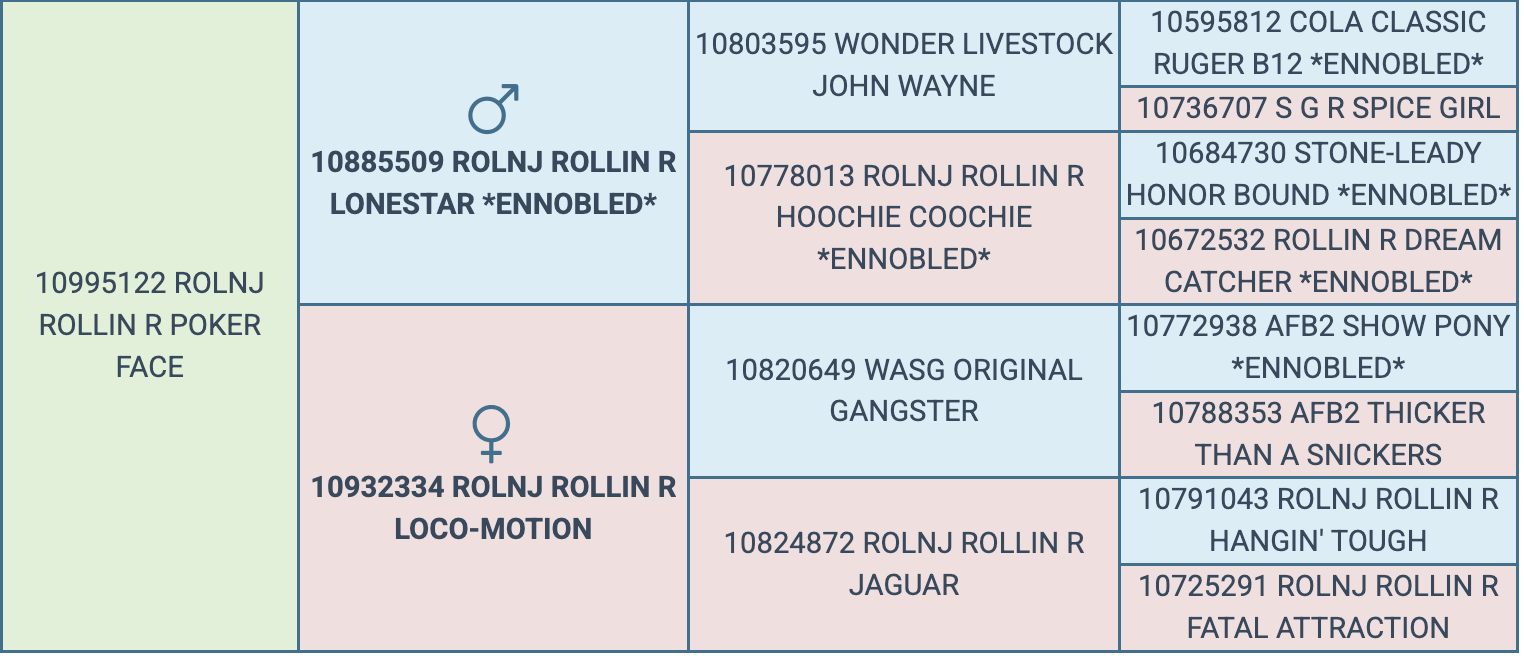 Screenshot 2026-03-19 at 11.23.56 AM