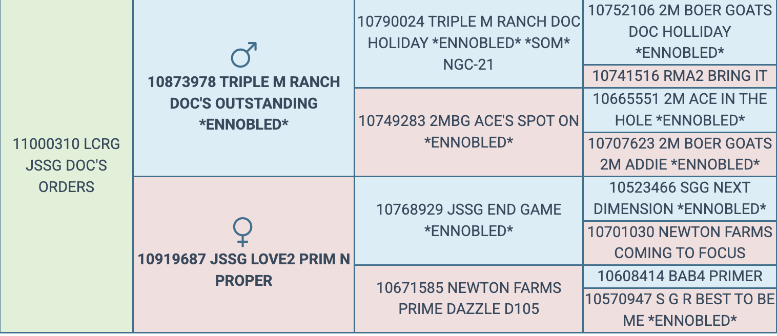 Screenshot 2026-03-19 at 11.32.08 AM