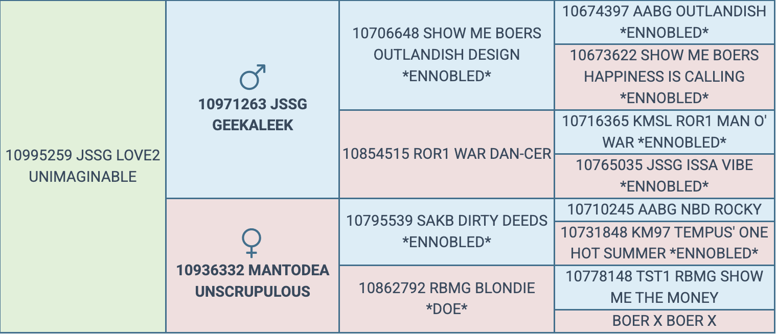 Screenshot 2026-03-19 at 11.35.09 AM