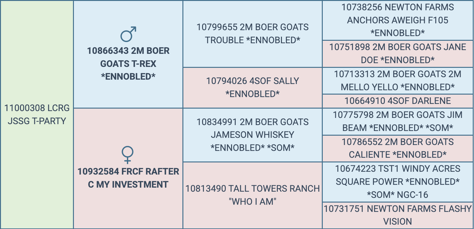 Screenshot 2026-03-19 at 11.40.18 AM