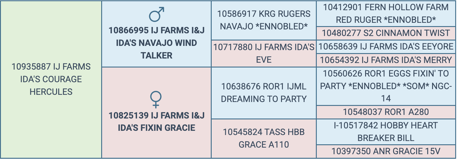 Screenshot 2026-03-19 at 11.51.33 AM