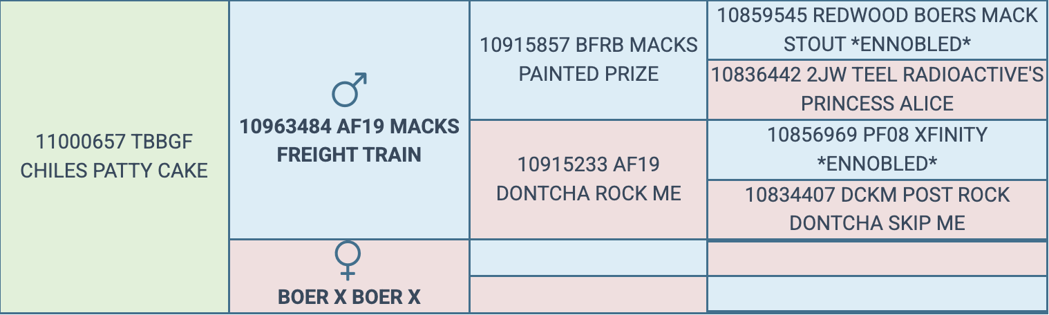 Screenshot 2026-03-19 at 3.46.54 PM