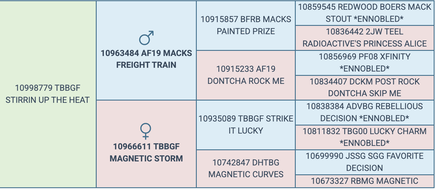 Screenshot 2026-03-19 at 3.51.50 PM