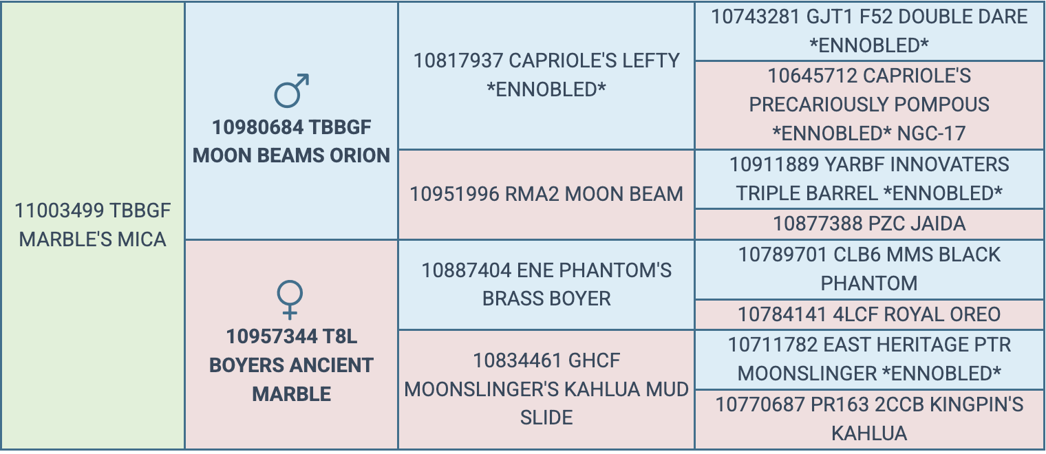 Screenshot 2026-03-19 at 3.59.10 PM