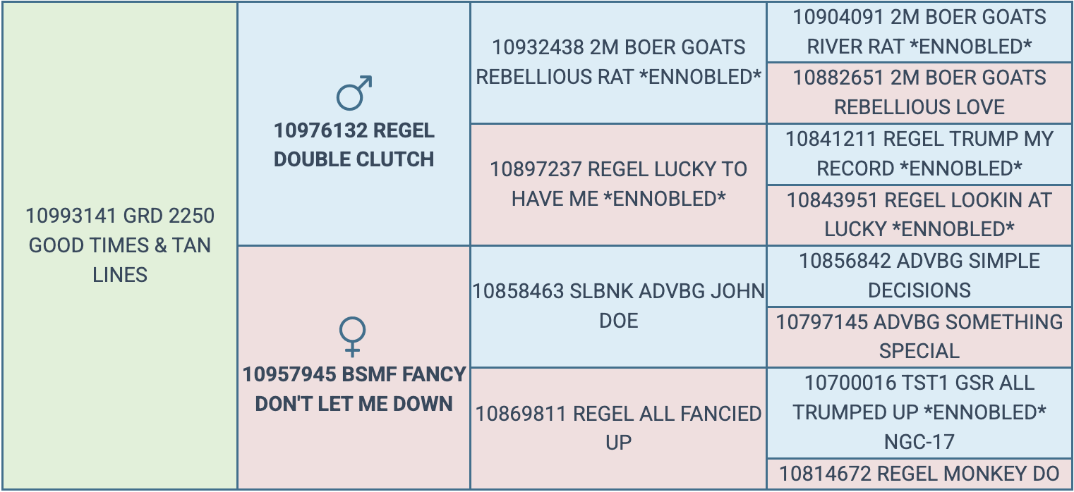 Screenshot 2026-03-20 at 4.58.36 PM