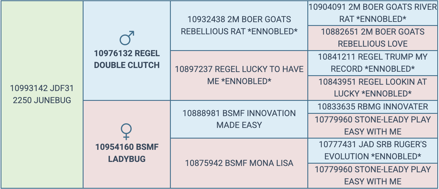 Screenshot 2026-03-20 at 5.02.17 PM