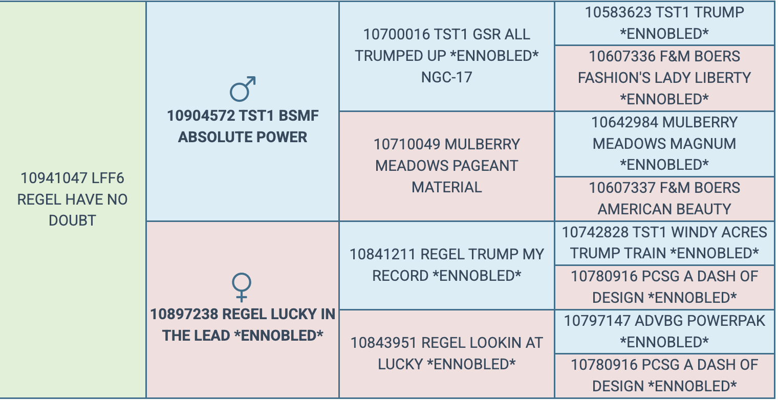 Screenshot 2026-03-20 at 5.06.26 PM