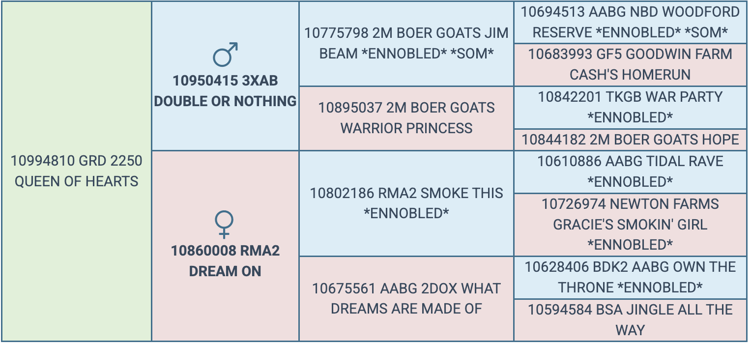 Screenshot 2026-03-20 at 5.11.14 PM