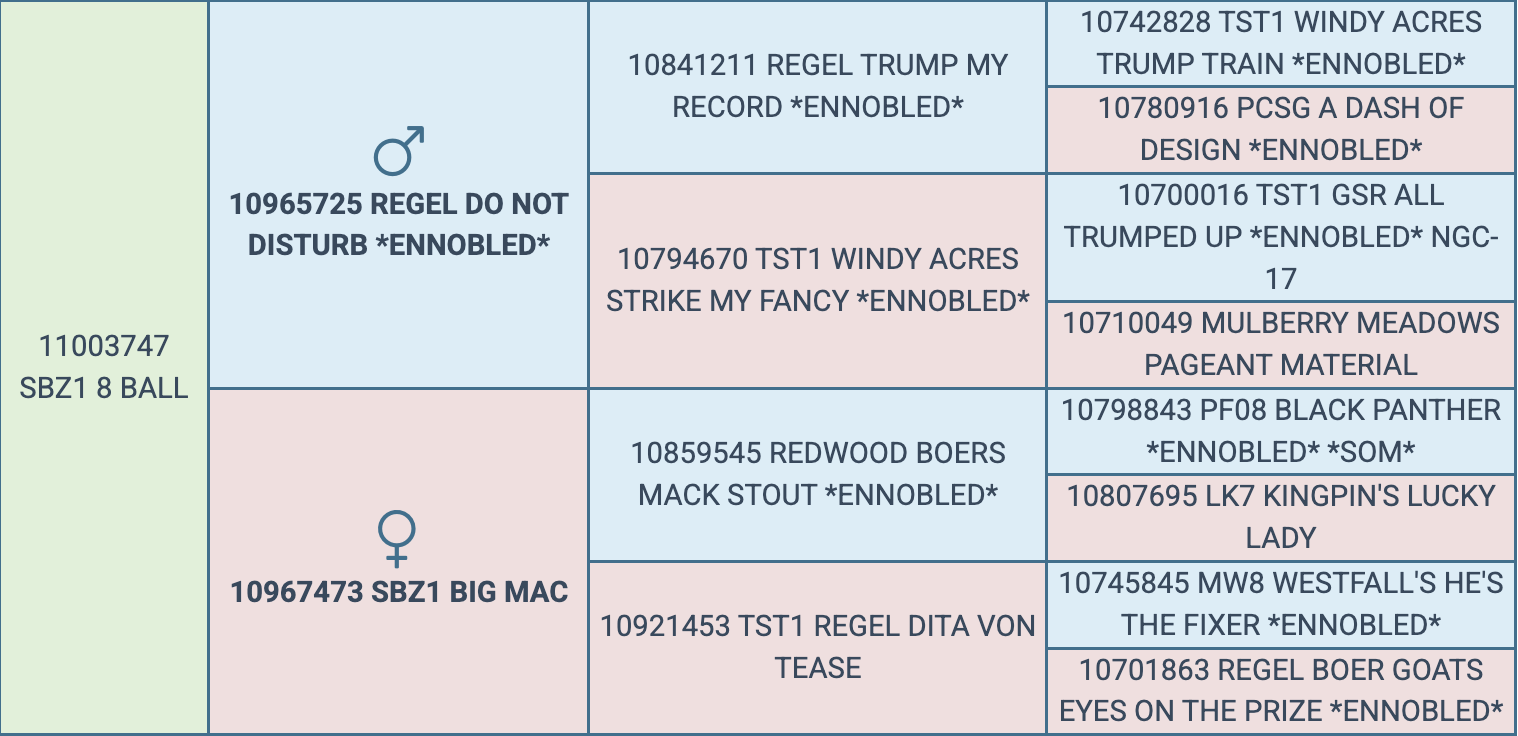 Screenshot 2026-03-20 at 5.24.45 PM