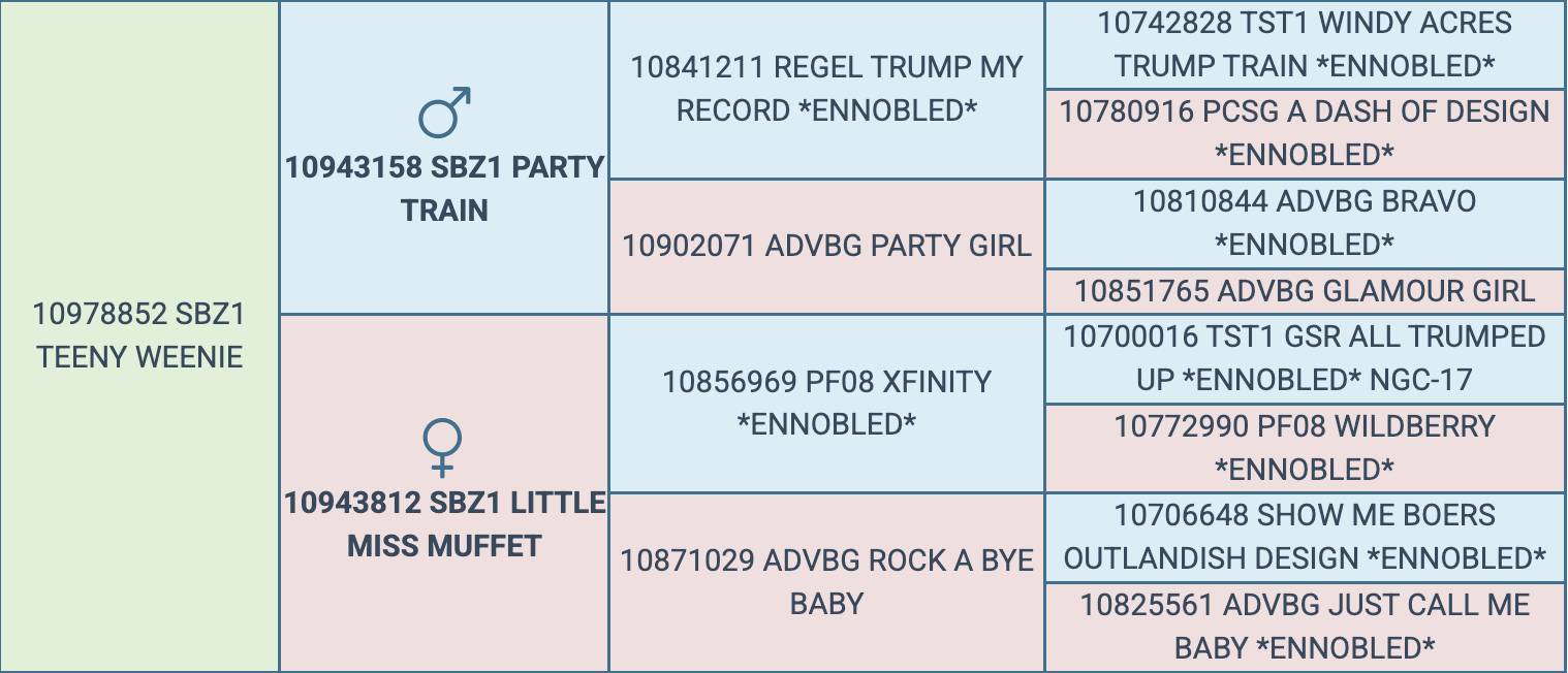 Screenshot 2026-03-20 at 5.28.38 PM