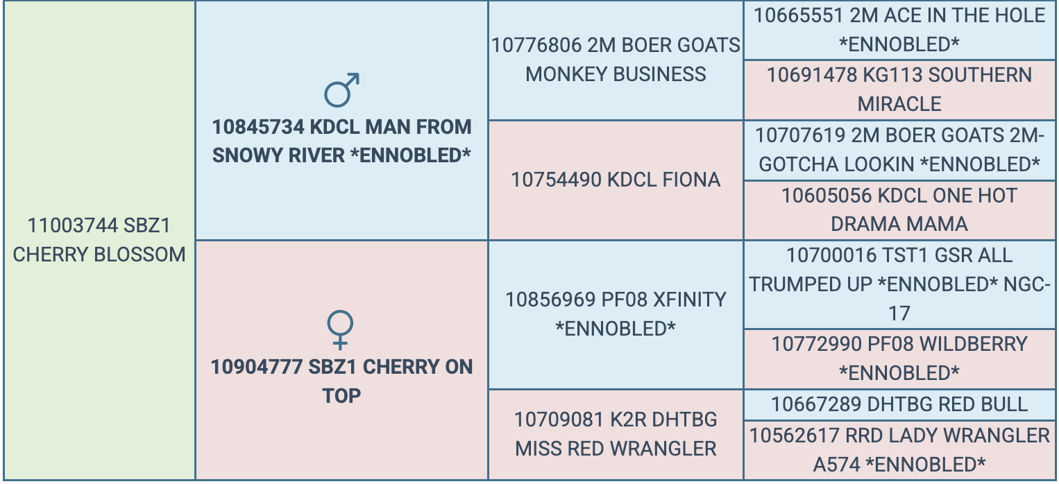 Screenshot 2026-03-20 at 5.33.25 PM