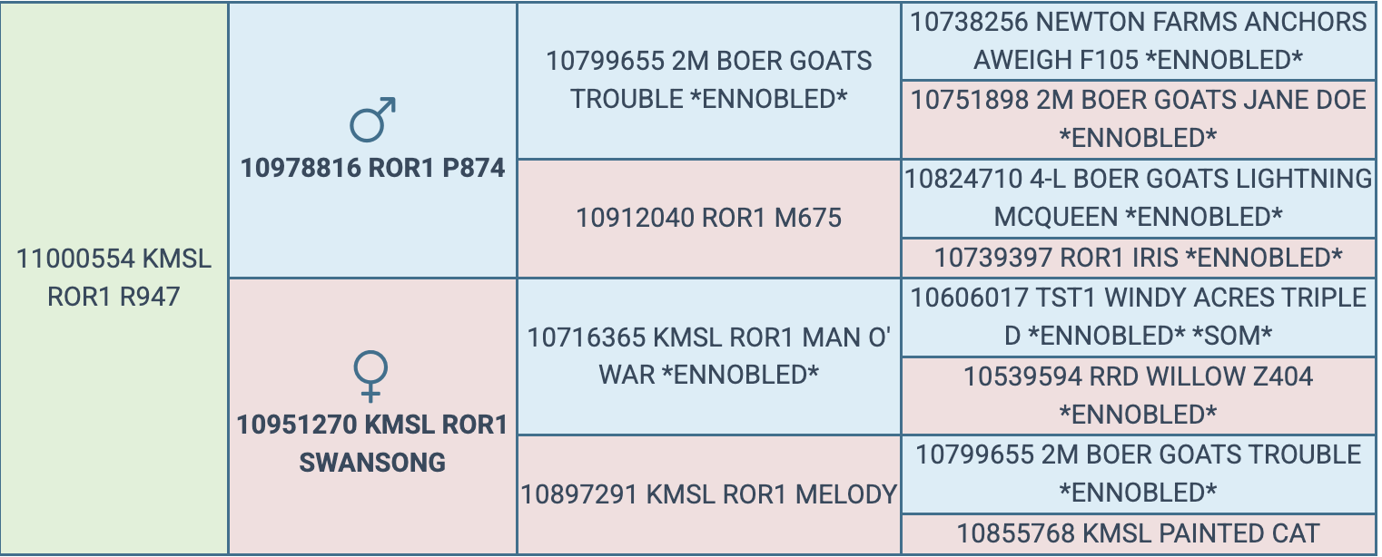 Screenshot 2026-03-20 at 5.49.57 PM