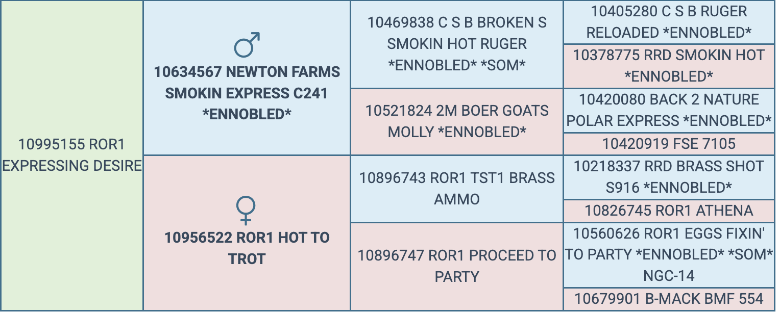 Screenshot 2026-03-20 at 5.54.04 PM