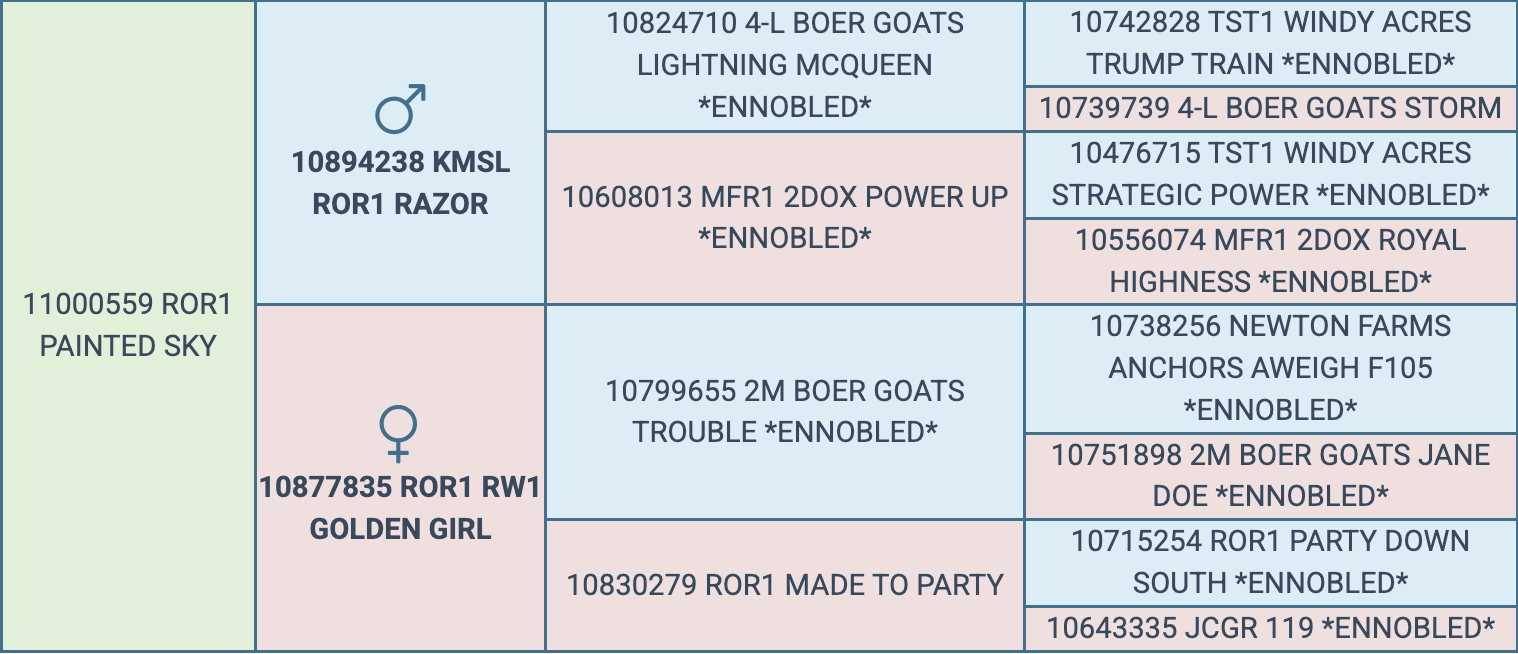 Screenshot 2026-03-20 at 5.57.54 PM