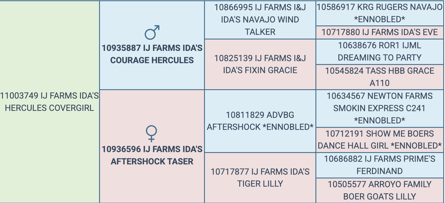 Screenshot 2026-03-21 at 1.40.06 PM