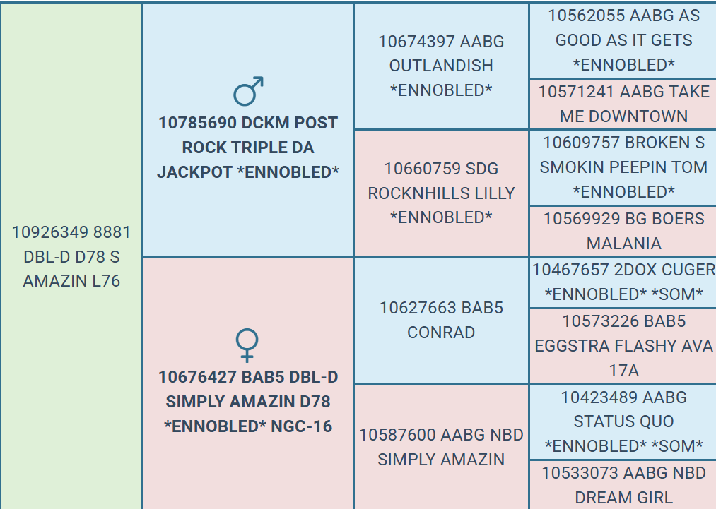 Screenshot 2026-03-22 143523