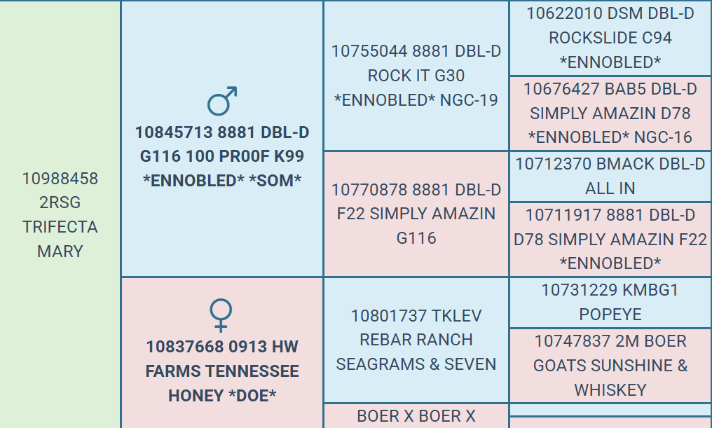 Screenshot 2026-03-22 144320