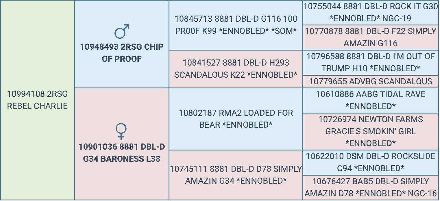 Screenshot 2026-03-22 at 2.08.31 PM