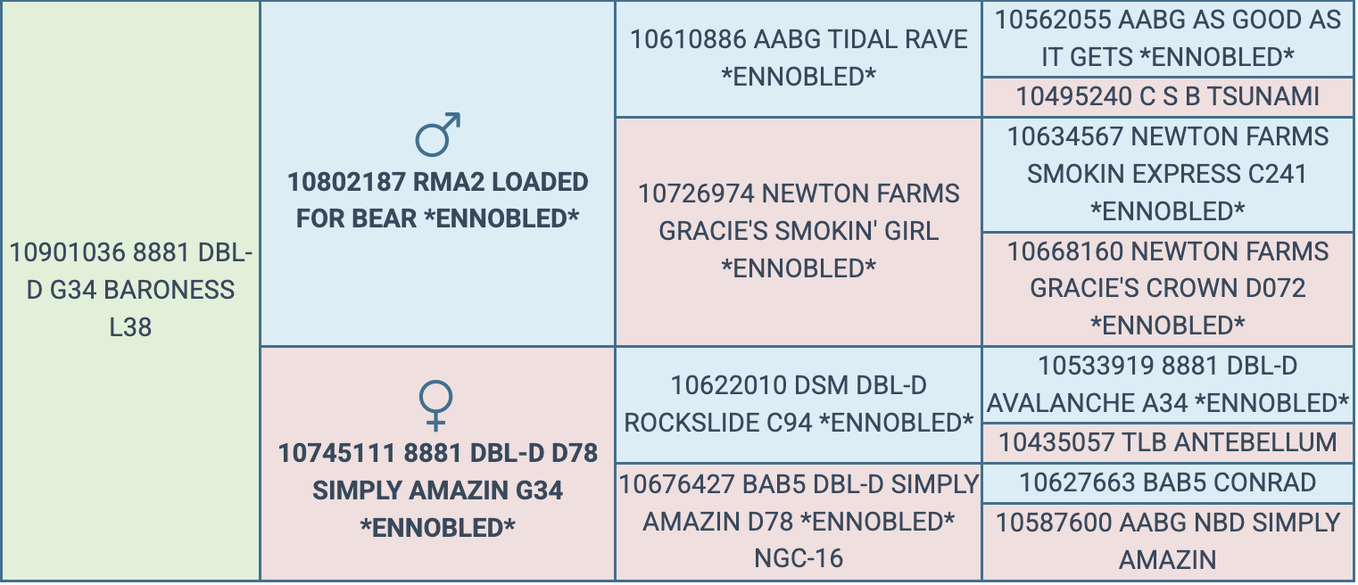 Screenshot 2026-03-22 at 2.11.08 PM
