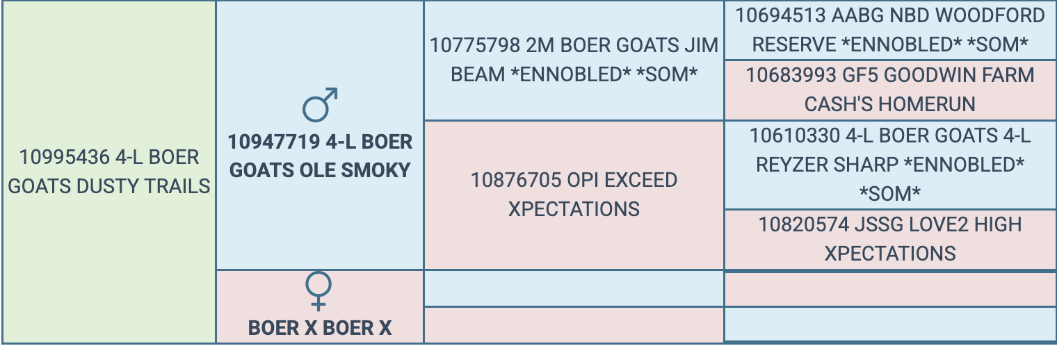 Screenshot 2026-03-23 at 10.12.17 AM