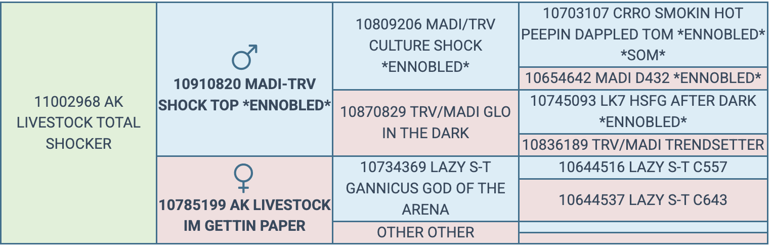 Screenshot 2026-03-23 at 6.41.13 PM