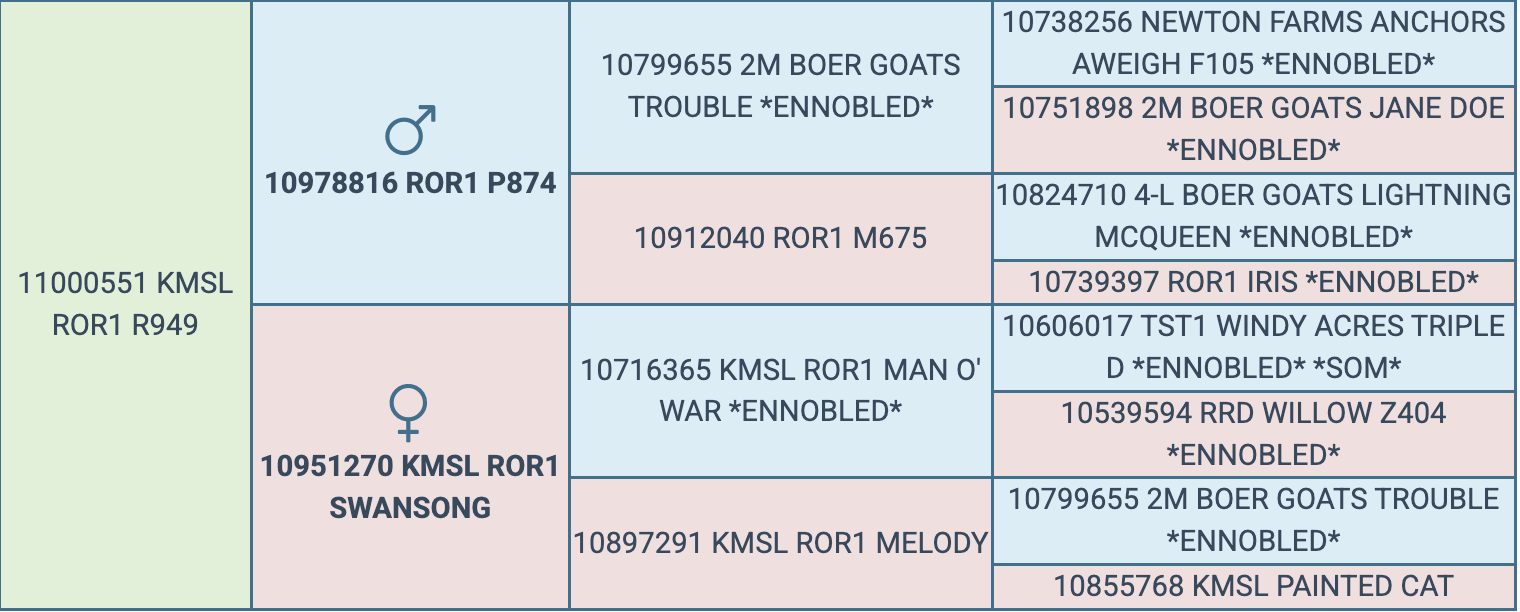 Screenshot 2026-03-23 at 6.48.46 PM