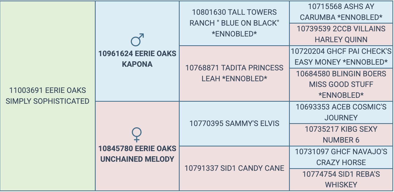 Screenshot 2026-03-23 at 8.08.39 PM