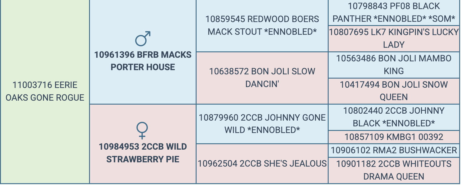 Screenshot 2026-03-23 at 8.14.24 PM