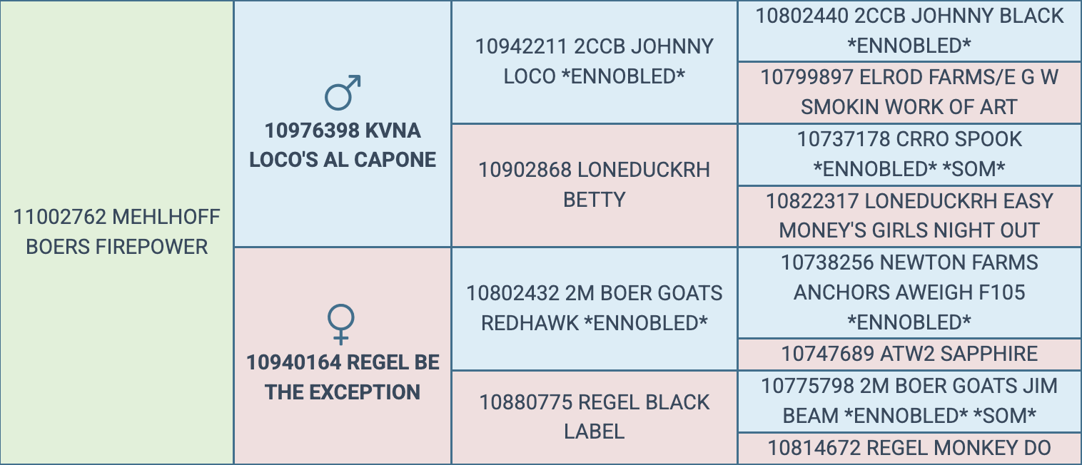 Screenshot 2026-03-23 at 9.27.16 AM