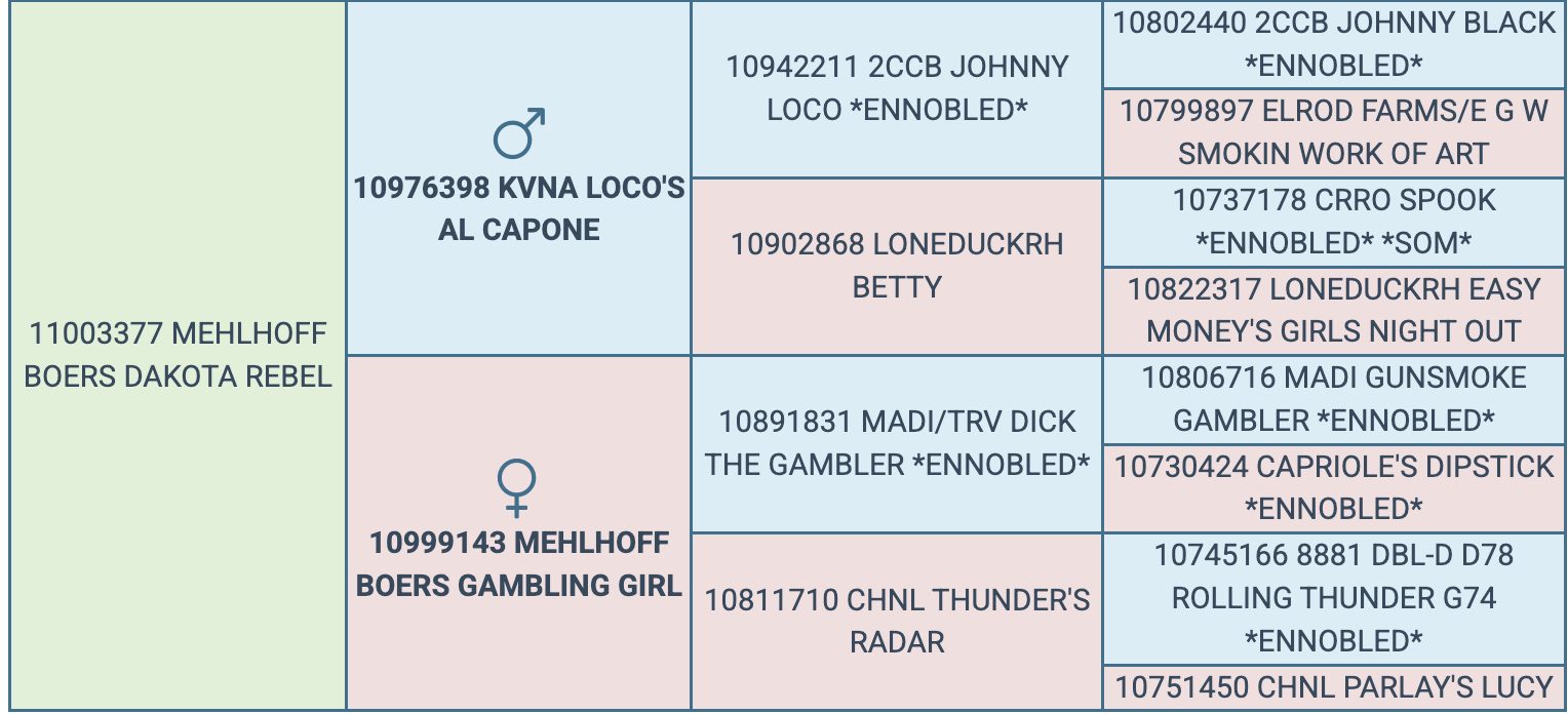 Screenshot 2026-03-23 at 9.30.51 AM